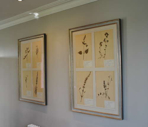 Framed pressed herb pictures - Rectangular