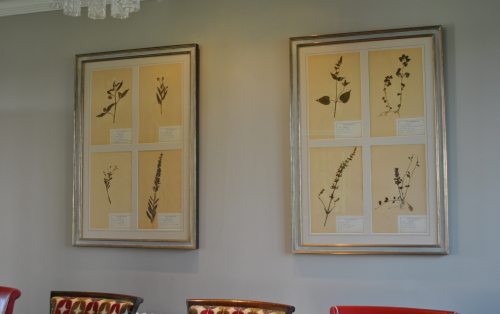 Framed pressed herb pictures - Rectangular