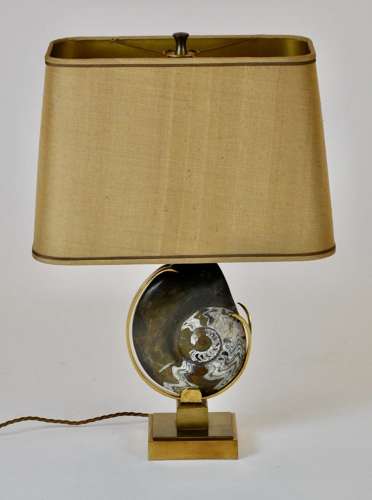 Ammonite Fossil Table Lamp