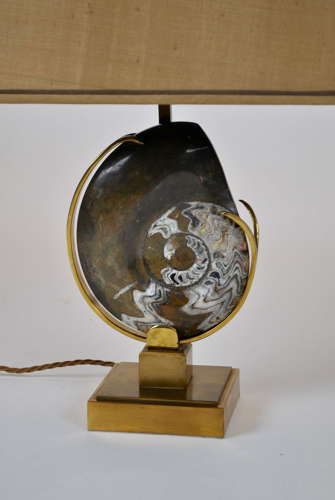 Ammonite Fossil Table Lamp