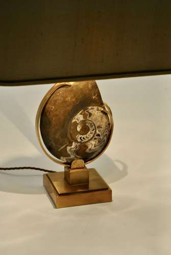 Ammonite Fossil Table Lamp