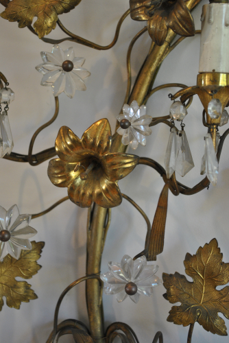 Organic Wall Lights