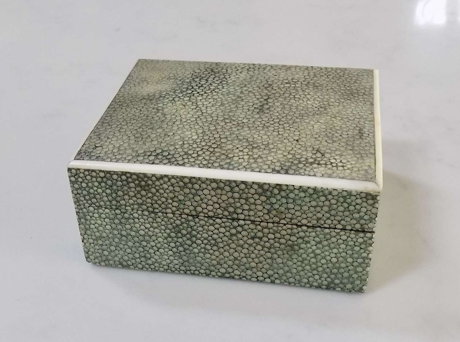Shagreen box with ivory edging